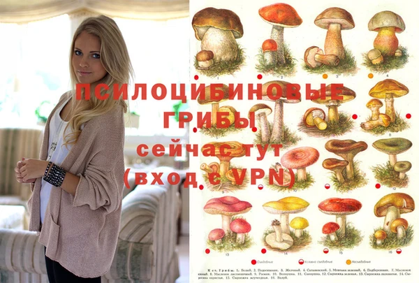 герыч Покровск