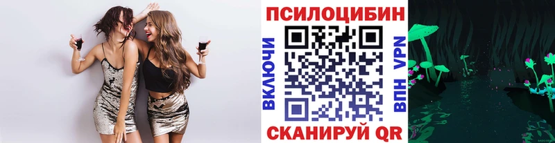 Псилоцибиновые грибы мицелий Калязин